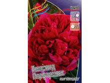 499,9���. ���� ������� ����������(���������� ������ ������ ���������� �� 1 ��.).jpg