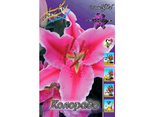 22,68���. ����� ��������(�������� ���� �� 5 ��., ����������� ����� 3��.).jpg