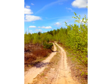 IMG 20170507 112516.jpg