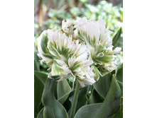 16,2���. ������� ����� ������(�������� ���� �� 10 ��., ����������� ����� 5��.).jpg