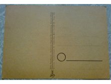 ����96 (1).jpg