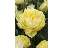 18,13���. ������� ��������(�������� ���� �� 10 ��., ����������� ����� 5��.).jpg