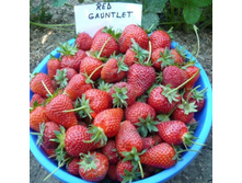 ��������� ��� �������.jpg