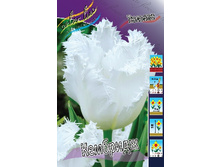 16,94���. ������� ��������(�������� ���� �� 10 ��., ����������� ����� 5��.).jpg