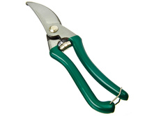 218,75 ���. - INBLOOM ������� ������� 8" (������������ �����50), �����. ��������, �������.�������, P�-�������