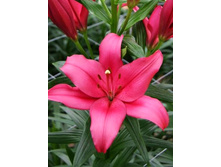 18,7���. ����� �������(���������� ������ ������ ���������� �� 7 ��.)���16.jpg