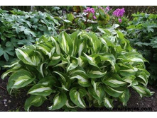 ����� ��������� ��������������.jpg