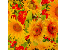 970 ���. - ������� �������� ��� �� �������� ������ "�������", 1,3�25�, ���.803/2