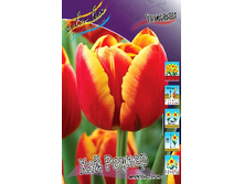 14,71���. ������� ��� ������(���������� ������ ������ ���������� �� 10 ��.).jpg