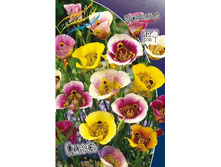 13,97���. ���������� �����(���������� ������ ������ ���������� �� 10 ��.).jpg