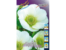 4,11���. ������� �����(���������� ������ ������ ���������� �� 15 ��.).jpg