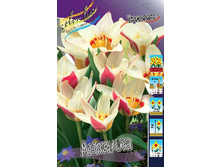 12,48���. ������� �������(���������� ������ ������ ���������� �� 10 ��.).jpg