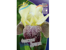 81,8���. ���� ���������� ������� ������(�������� ���� �� 2 ��., ����������� ����� 1��.).jpg