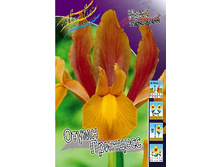 11,74���. ���� ����. ����� ��������(���������� ������ ������ ���������� �� 10 ��.).jpg