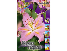 25,84���. ����� ����� �����(�������� ���� �� 7 ��., ����������� ����� 3��.).jpg