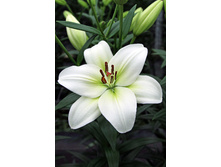 17,59���. ����� �������(���������� ������ ������ ���������� �� 7 ��.)���16.jpg