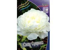 202,5���. ���� ���� ������(���������� ������ ������ ���������� �� 1 ��.).jpg