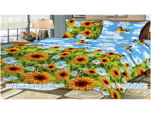 ���������� �������.png