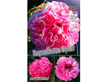 2405,6���. ���� ��������� �����(�������� ���� �� 1 ��., ����������� ����� 1��.).jpg