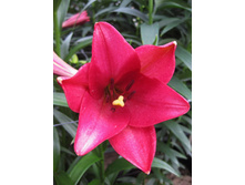 36,47���. ����� �����(�������� ���� �� 3 ��., ����������� ����� 1��.).jpg