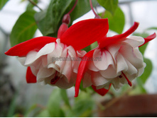 ������ niedersachsen No605