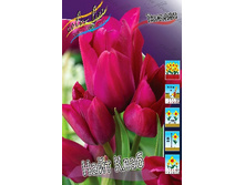 18,43���. ������� ���� ����(�������� ���� �� 10 ��., ����������� ����� 5��.).jpg