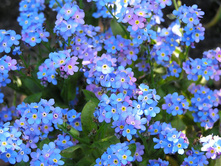 ���������.