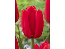 13,23���. ������� ������� ������(���������� ������ ������ ���������� �� 10 ��.)���17.jpg