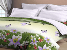 ���� (���).png