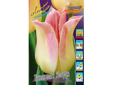 11���. ������� ������� ����(���������� ������ ������ ���������� �� 10 ��.).jpg