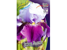 81,8���. ���� ���������� ���� �����(�������� ���� �� 2 ��., ����������� ����� 1��.).jpg