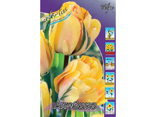 16,2���. ������� �������(�������� ���� �� 10 ��., ����������� ����� 5��.).jpg