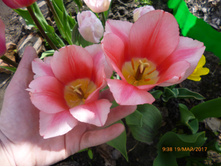 �������