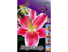 19,49���. ����� ���� ����(���������� ������ ������ ���������� �� 7 ��.).jpg