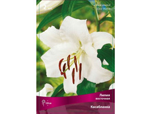 ����� ����������.jpg