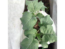 ���� ������� �������� ���ԣ� � ��������� �������.