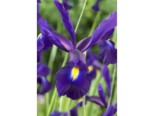 8,77���. ���� ����. ������� �����(���������� ������ ������ ���������� �� 10 ��.).jpg