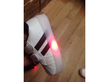 530� 21,22,23,24,25,26 � ���� 3 �����