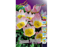 9,51���. ������� ����� ������(���������� ������ ������ ���������� �� 10 ��.).jpg