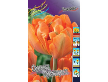 15,16���. ������� ����� ��������(�������� ���� �� 10 ��., ����������� ����� 5��.).jpg