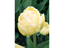 22,14���. ������� �����(�������� ���� �� 10 ��., ����������� ����� 5��.).jpg