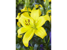 17,9���. ����� �����(���������� ������ ������ ���������� �� 7 ��.).jpg