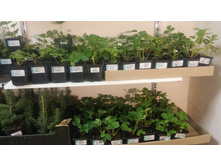 0-02-05-8c2001ec56ae7c344314e9dd4278f8facfbd132355f1446a911d75e451284eae full.jpg