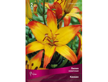 ����� ������.jpg