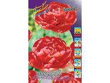 13,23���. ������� �������(���������� ������ ������ ���������� �� 10 ��.).jpg