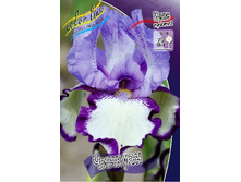 81,8���. ���� ���������� �������(�������� ���� �� 2 ��., ����������� ����� 1��.).jpg