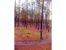 IMG 20170509 123218.jpg