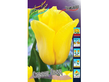 13,23���. ������� ������ ����(���������� ������ ������ ���������� �� 10 ��.).jpg