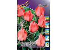 11,74���. ������� ��������(���������� ������ ������ ���������� �� 10 ��.).jpg