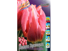 22,88���. ������� ������ ��������(�������� ���� �� 10 ��., ����������� ����� 5��.).jpg